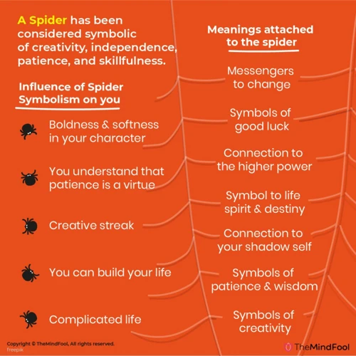 Symbolsk Betydning Av Edderkopper