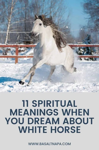 The Significance Of Dreams Of A Freeing Horse